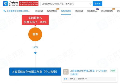 霍尊南京江豚音樂節復出 前女友辟謠、爭議解讀與公關策略分析